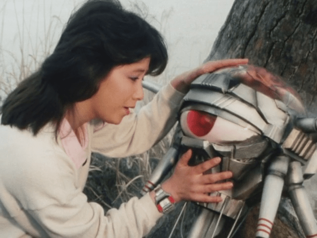 Pink Five: Ang Aking Unang Childhood Crush Hikaru Katsuragi and Brain